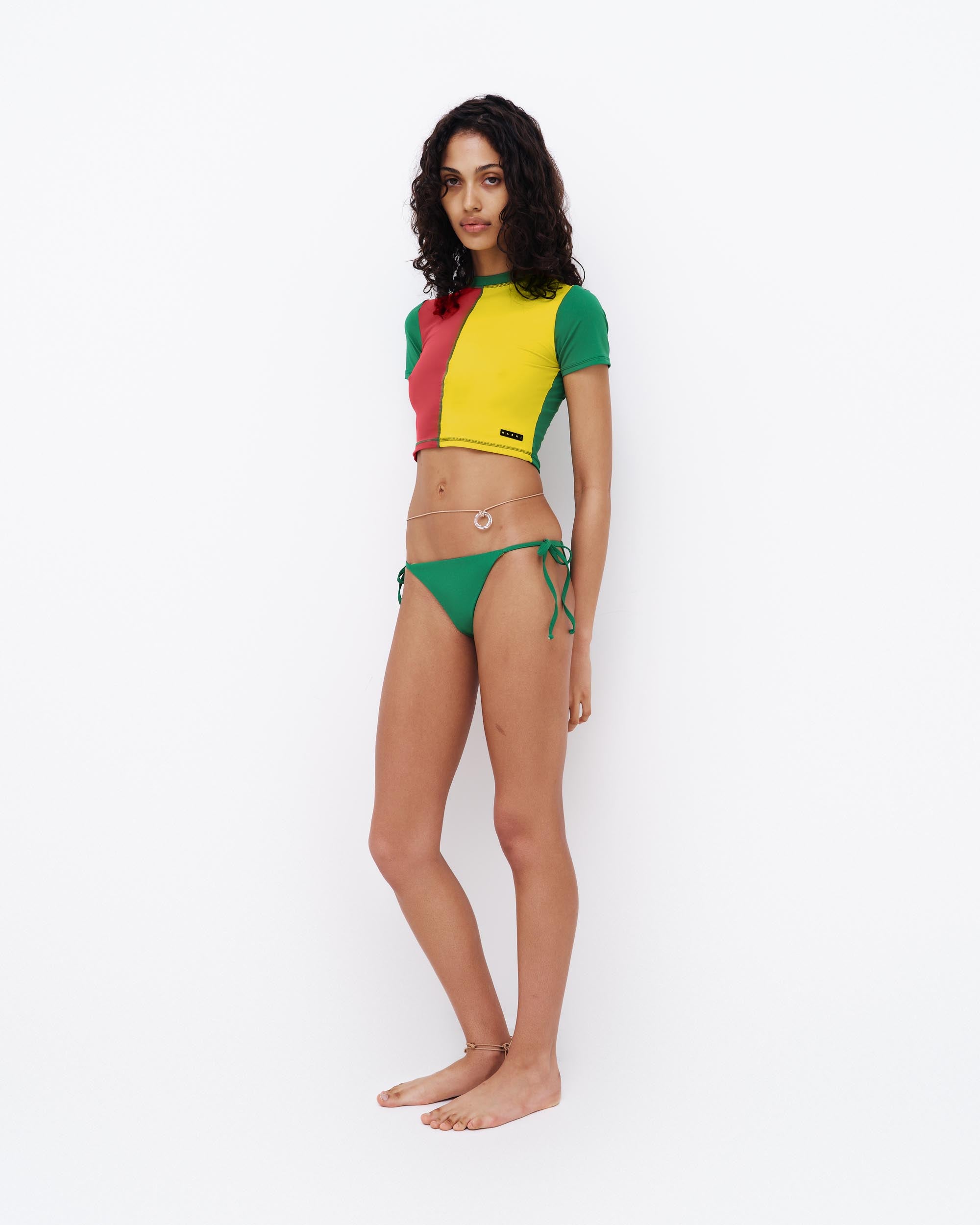 Short Sleeve Cropped T - Latino / Summer / Iguana